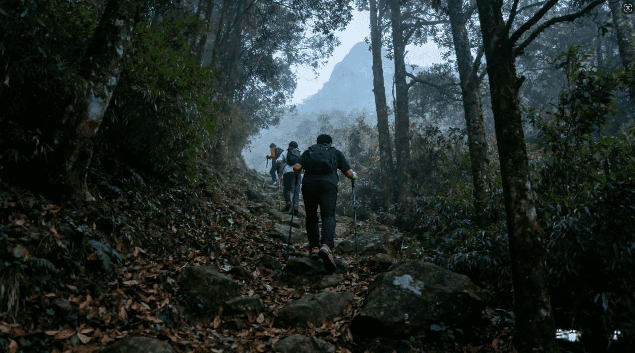 全面解析“路由器梯子”的原理与实用使用指南，让你轻松突破网络限制